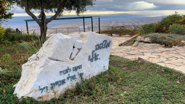 מצפה אלי