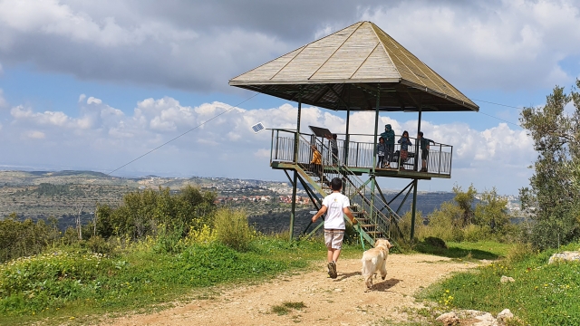תצפית גבעת היקבים