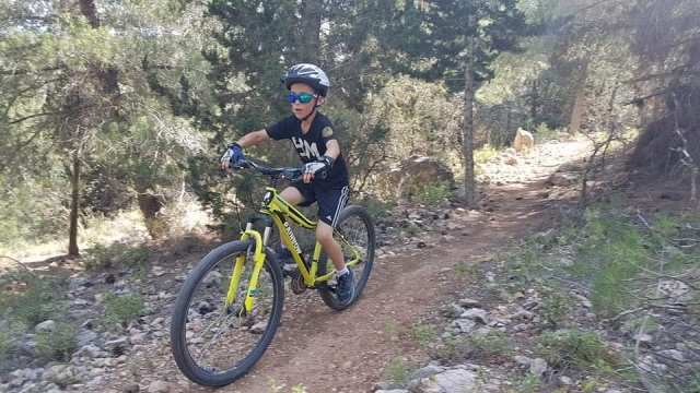 מסלול יער עלי
