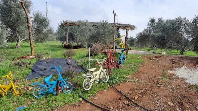 הבוסתן